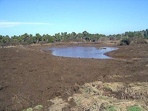 The “new pond” 2006