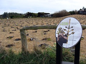 Living Legends first year planting area 2011