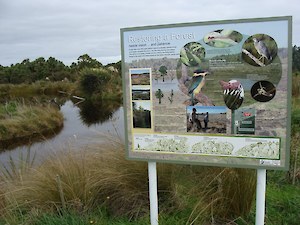 Pond Interpretation Sign 2011