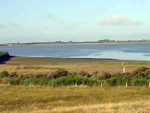 Lookout from Bushy Point walkway