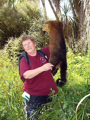 Dawn with a dead possum!