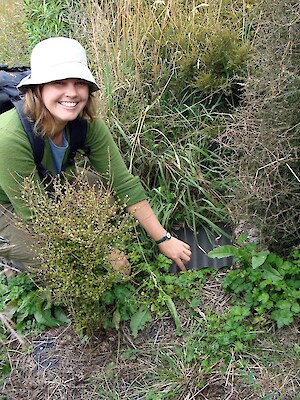 Ali Caddy doing lizard research at Bushy Point