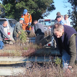Loading up from Southland Community Nursery