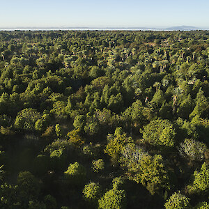 Drone photo of same area by Jason Hosking in 2025