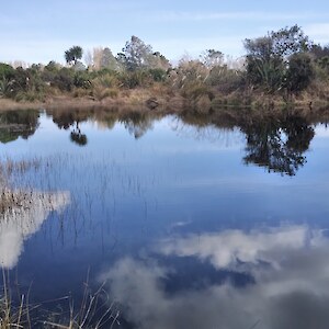 Pond 2024